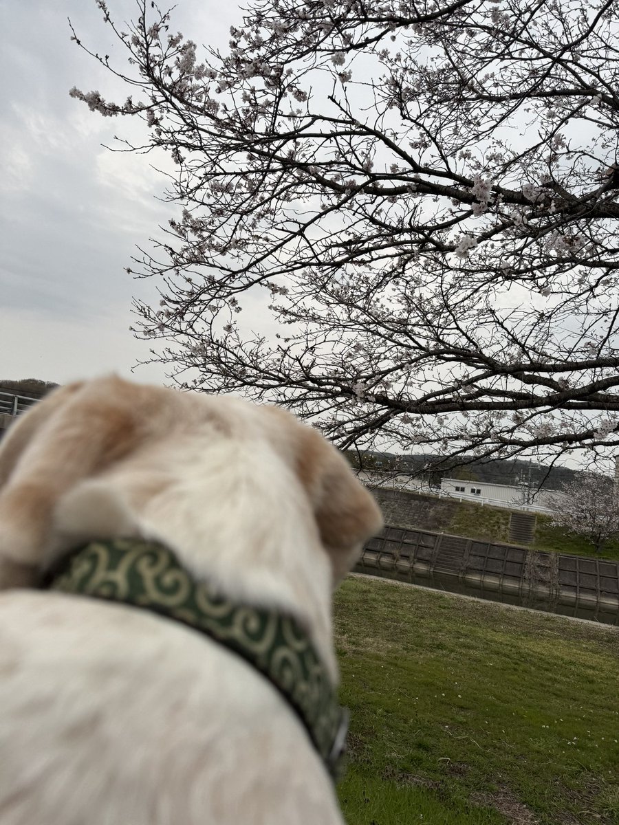 みっちゃん🔥 tweet media