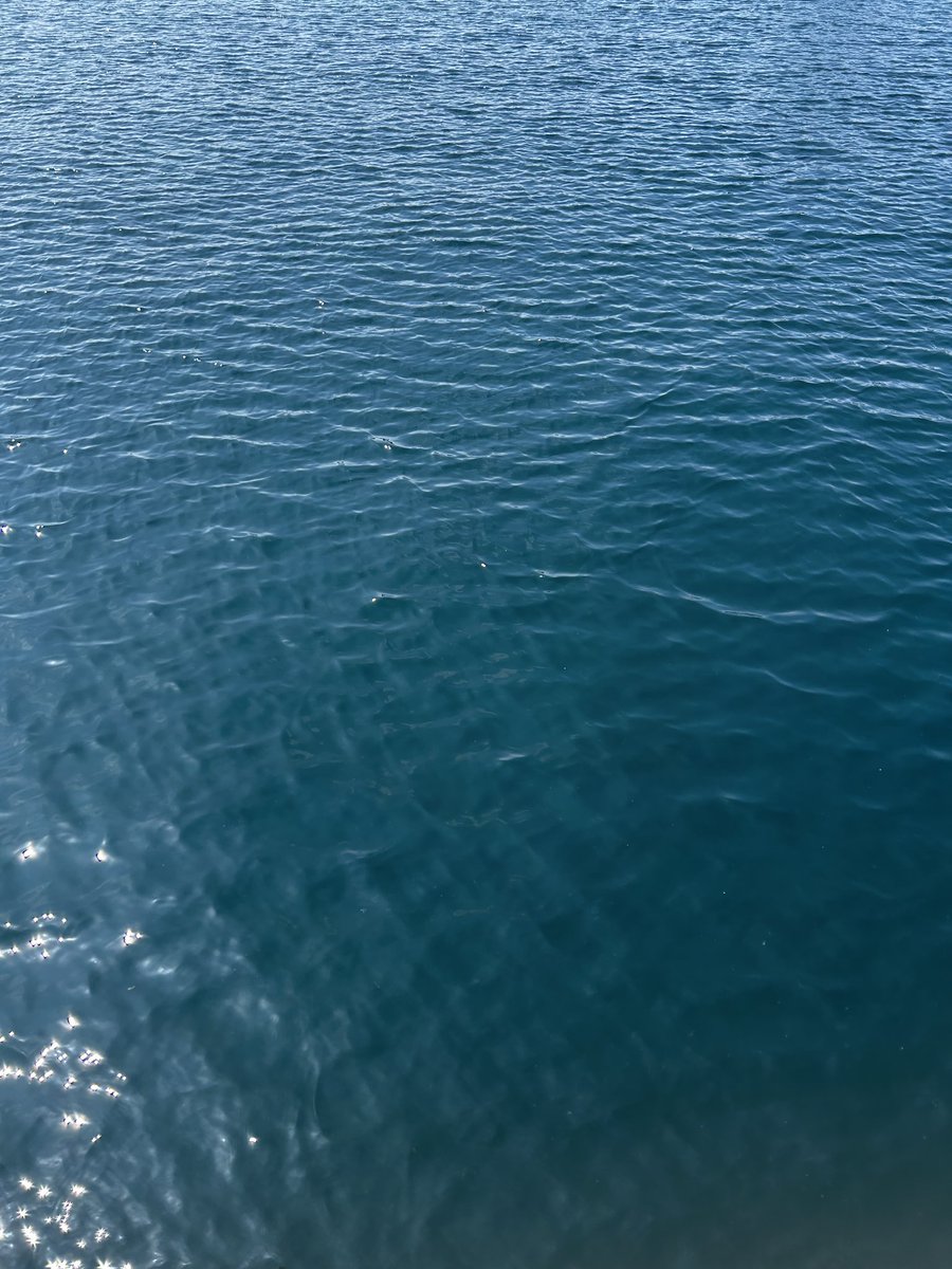 ローカライザー・ブレイブ tweet media