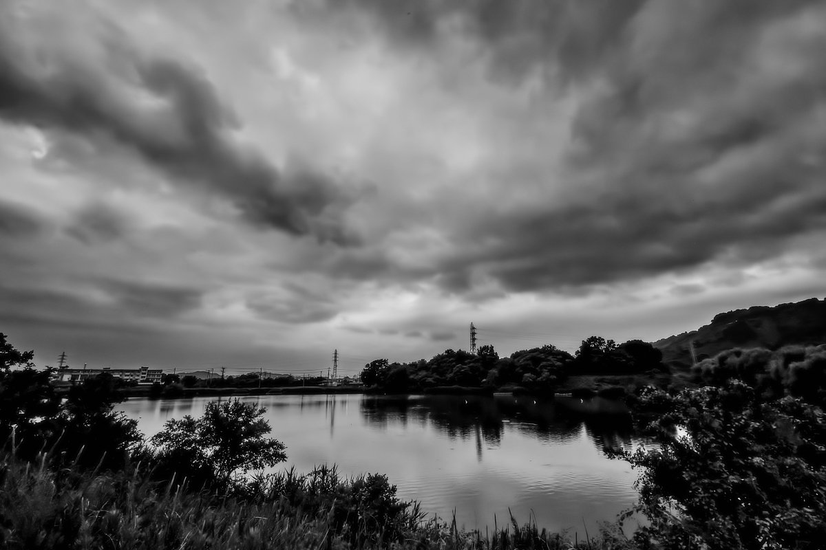 井上浩行 tweet media