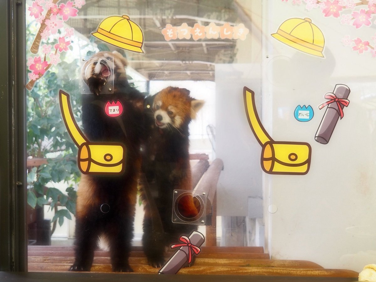 ⁿᵃᵍᵃᵒ tweet media