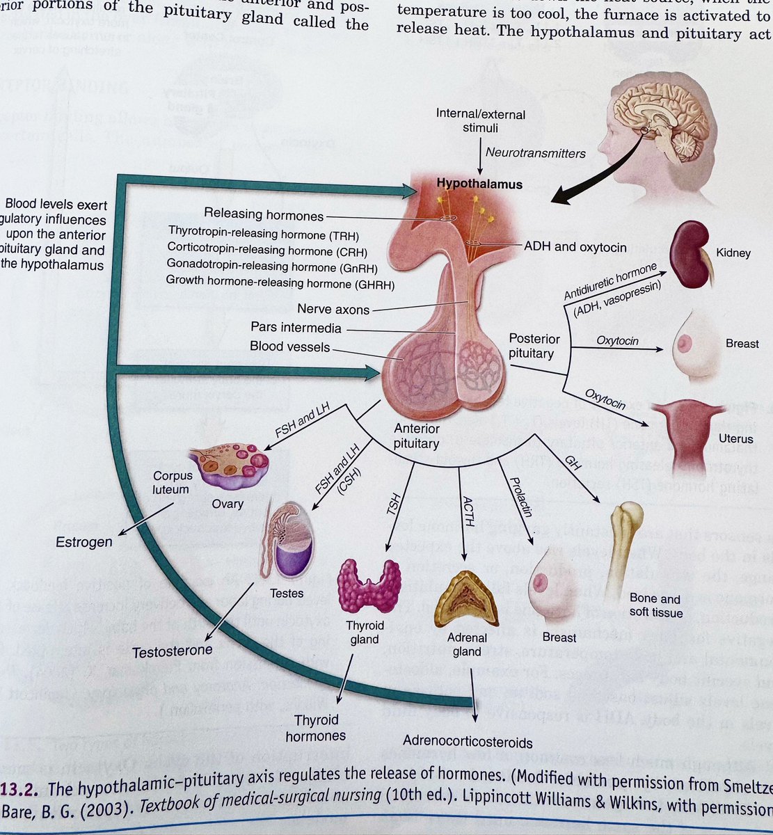 Яizal do tweet media