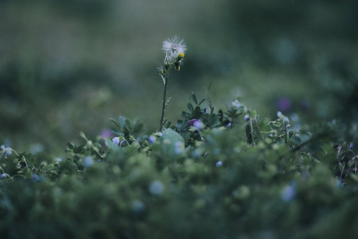 へいじろ tweet media