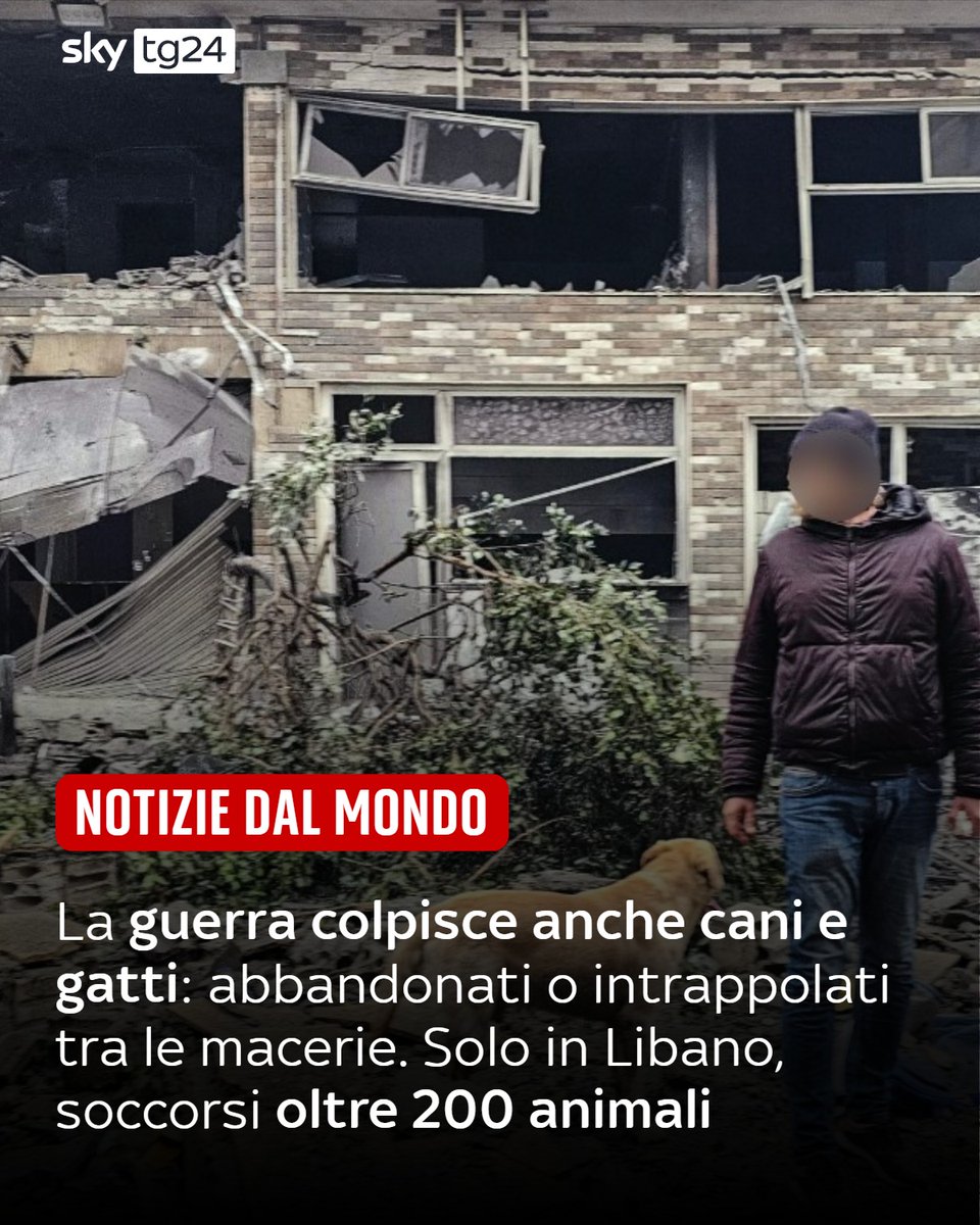 SkyTG24's tweet image. Da ormai quattro anni il mondo è attraversato da diverse guerre, dall’#Ucraina fino al Golfo Persico ➡️ shorturl.at/DXHkx