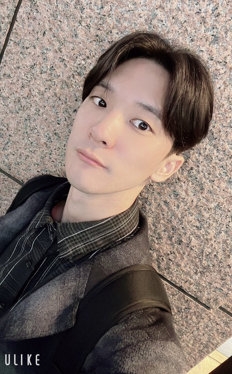 東風東(こちあずま) tweet media