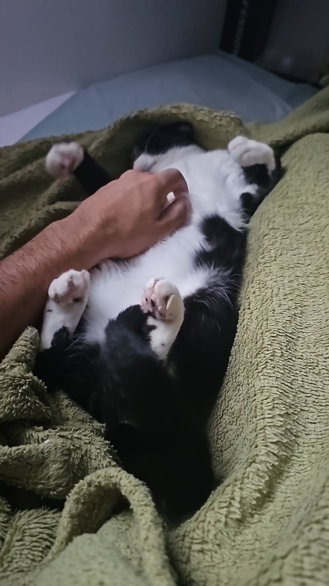 Andrew Corsini tweet media