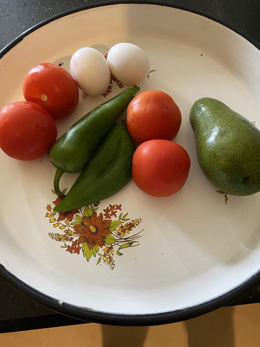 İNSAN OL tweet media