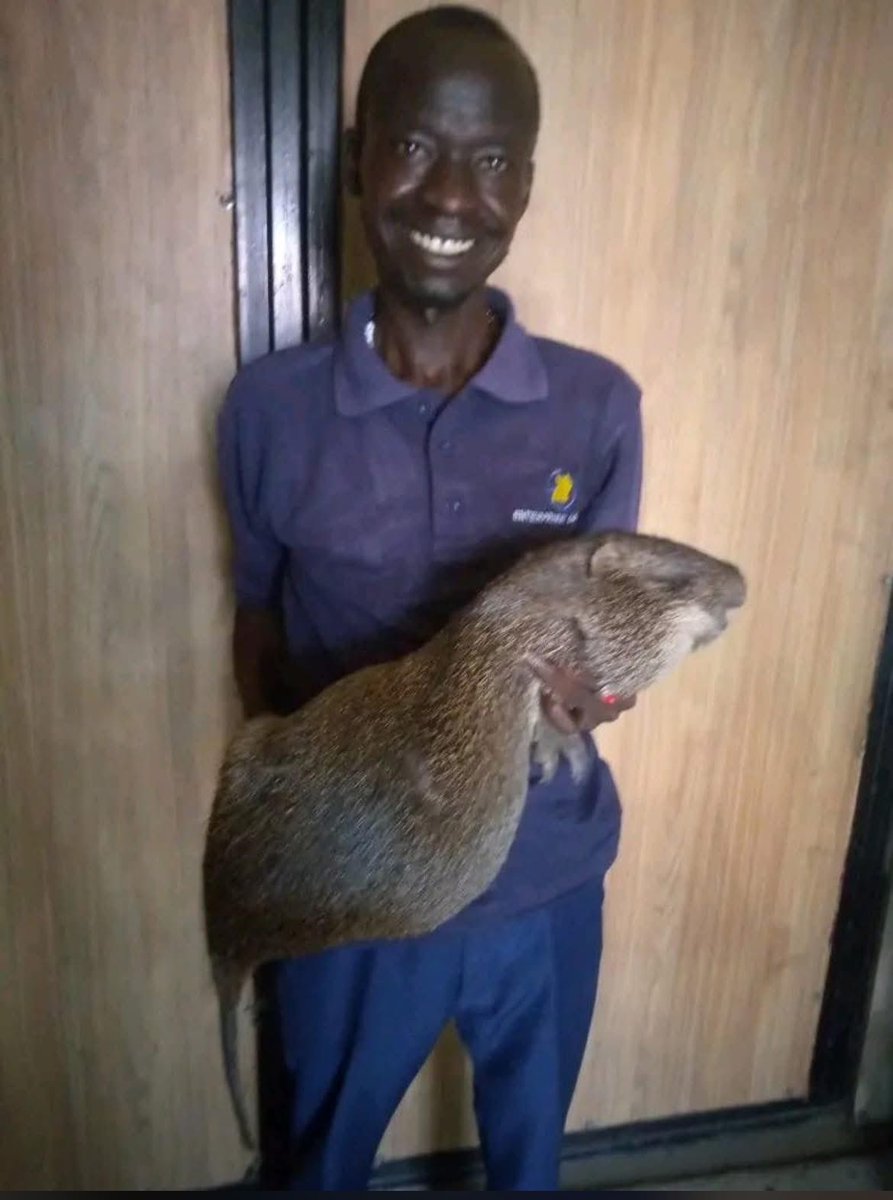 Acholi goddd tweet media