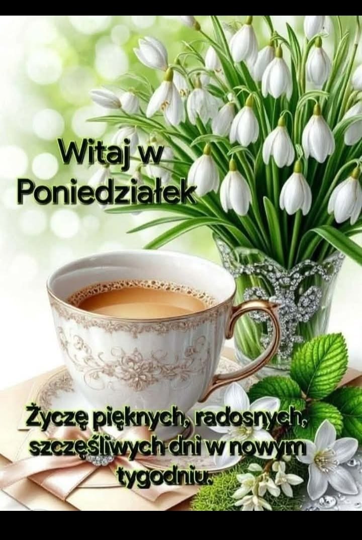 GrazynaMaria tweet media