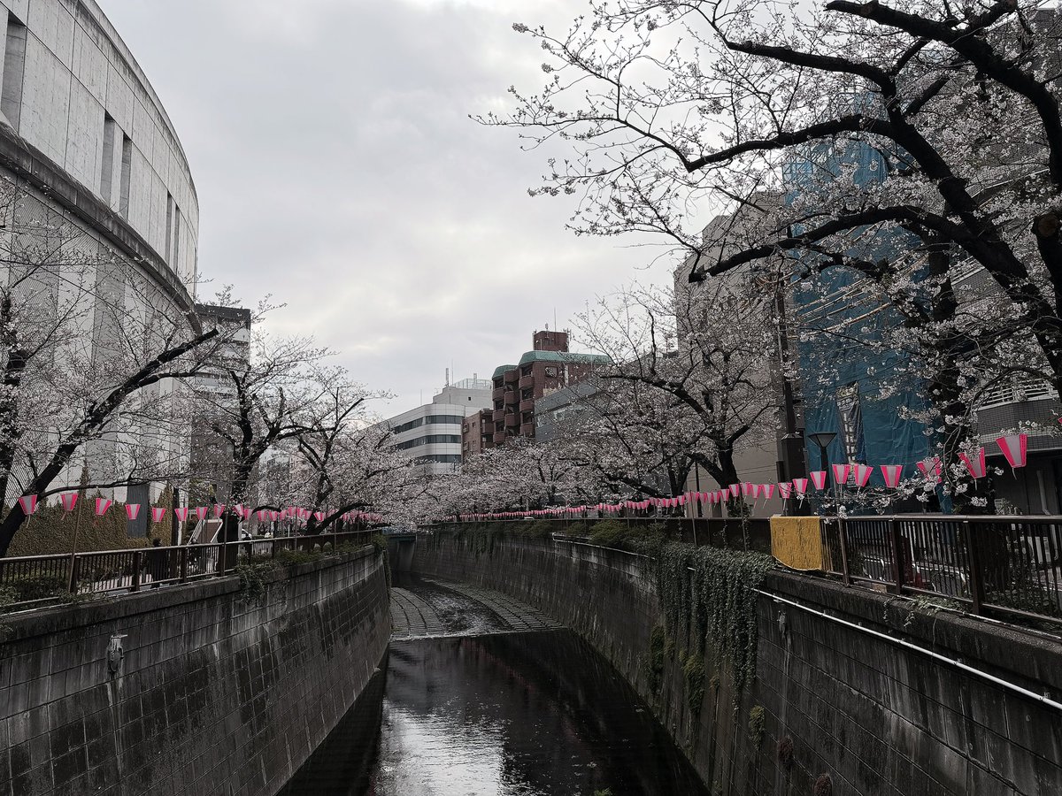 ミオ太郎 tweet media