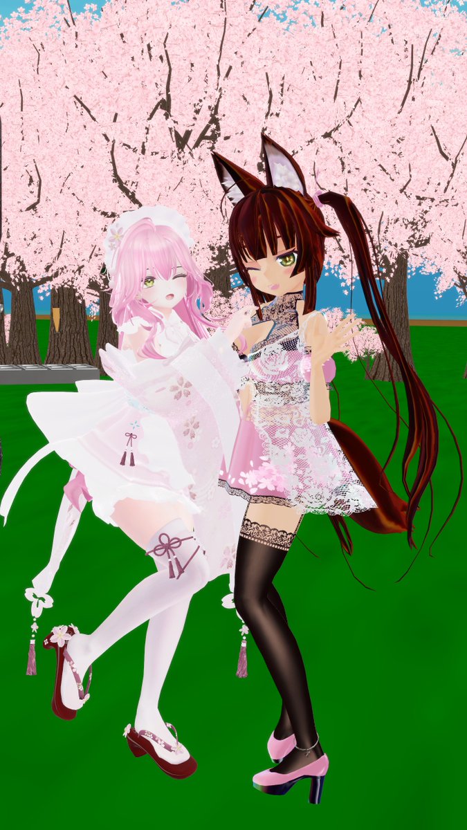 🐾味噌っ子✨ tweet media