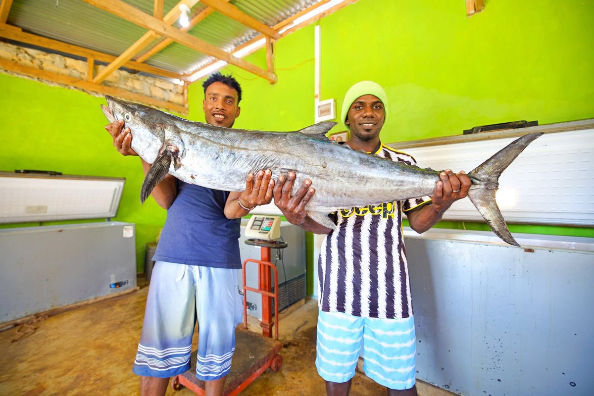 HassanAliJoho's tweet photo. At the Coast, the Kenya Marine Fisheries and Socio-Economic Development (KEMFSED) Project implemented by the Government of Kenya through the State Department for Blue Economy and Fisheries continues to transform livelihoods by unlocking the vast potential of the blue economy through targeted, high-impact interventions.

Through this initiative, we have invested in the provision of modern equipment and critical infrastructure including cold storage facilities to reduce post-harvest losses, comprehensive training of coxswains to enhance safety and professionalism at sea and the deployment of fully equipped rescue boats to strengthen ocean surveillance and ensure swift, effective responses to maritime emergencies.  @PS_Betsy_Njagi @KEMFSED 

1/2