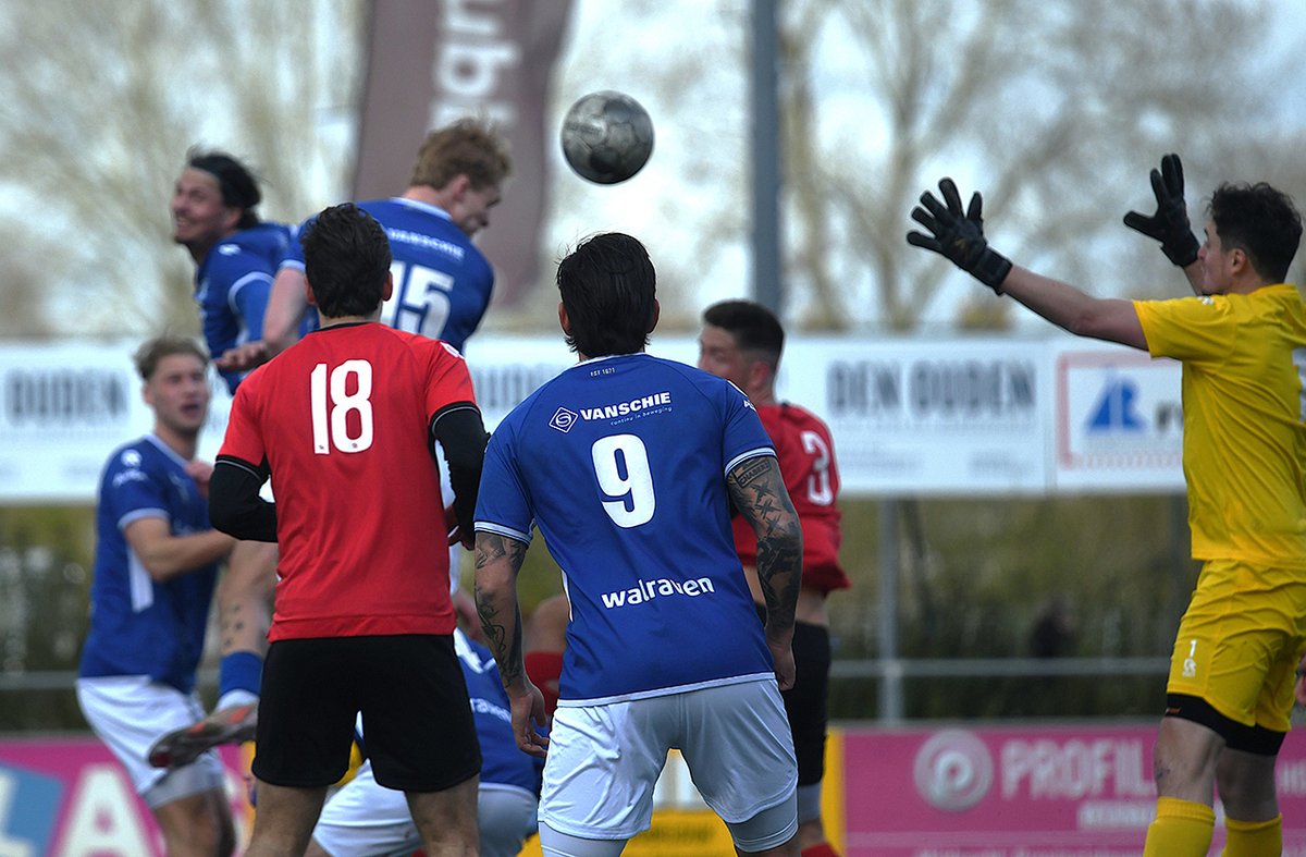 Nieuwe Meerbode tweet media