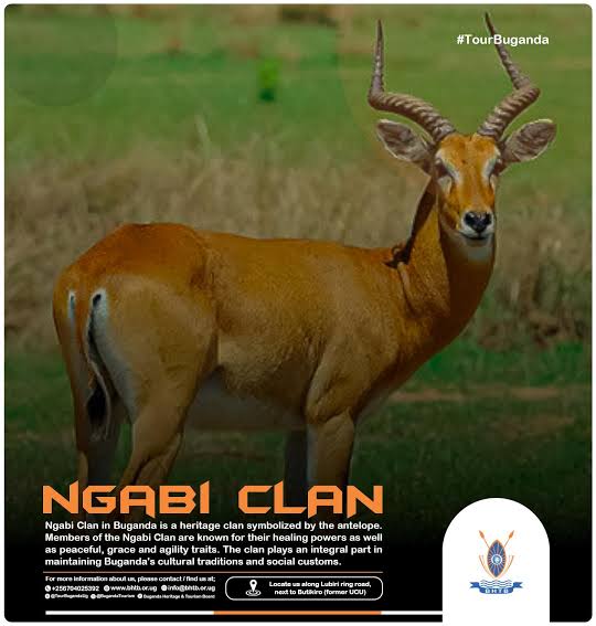 Ssebagala Nuuh tweet media