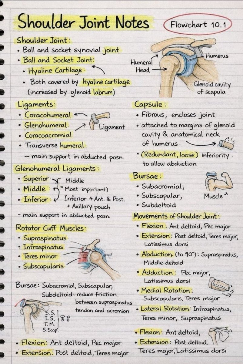 بَتّال صابر | علاج طبيعي tweet media