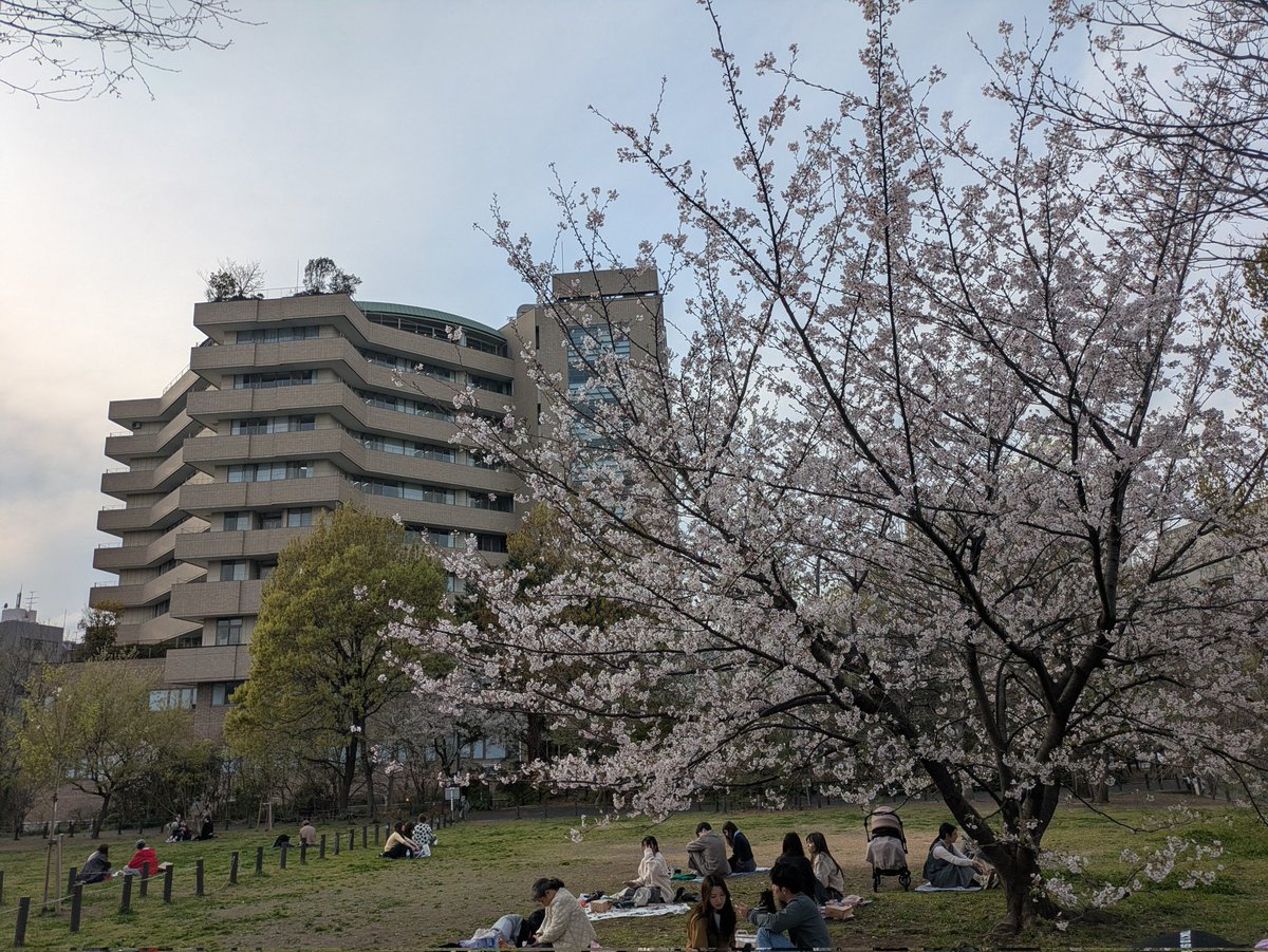 イベントバーABEER (一日店長・ゲスト出勤募集中) tweet media