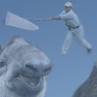 ロドクロ欲しい🎈🐴 tweet media