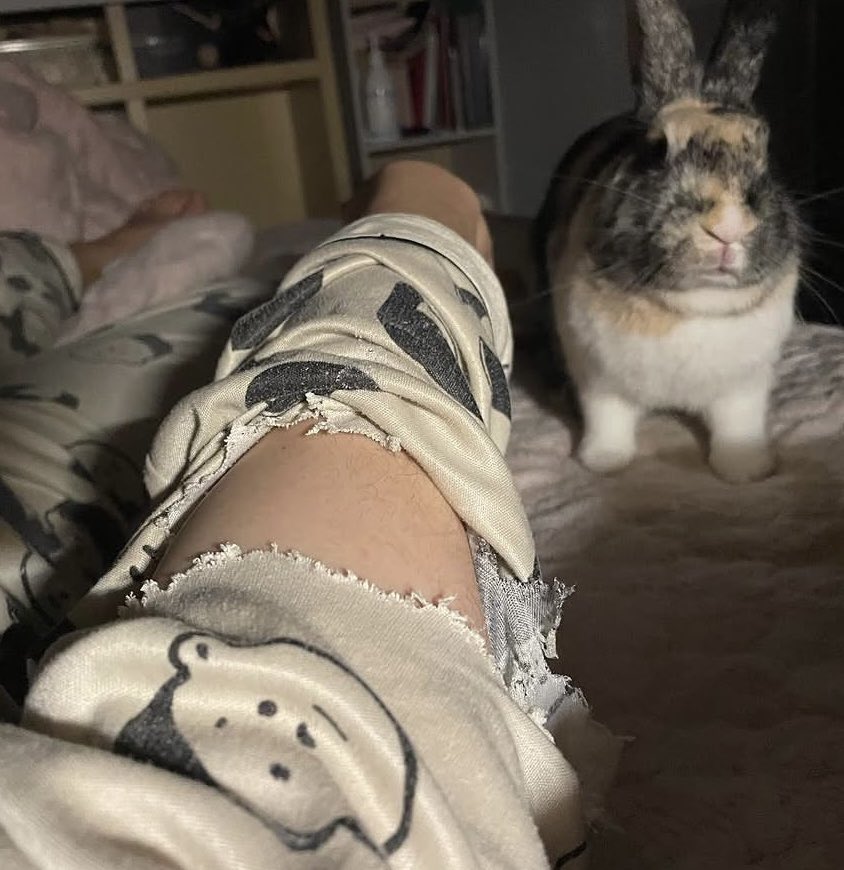 맞아 나도 머리를 안 만져줬다는 이유로 팔이 없어졌었음. 

난 자고 있었는데도.