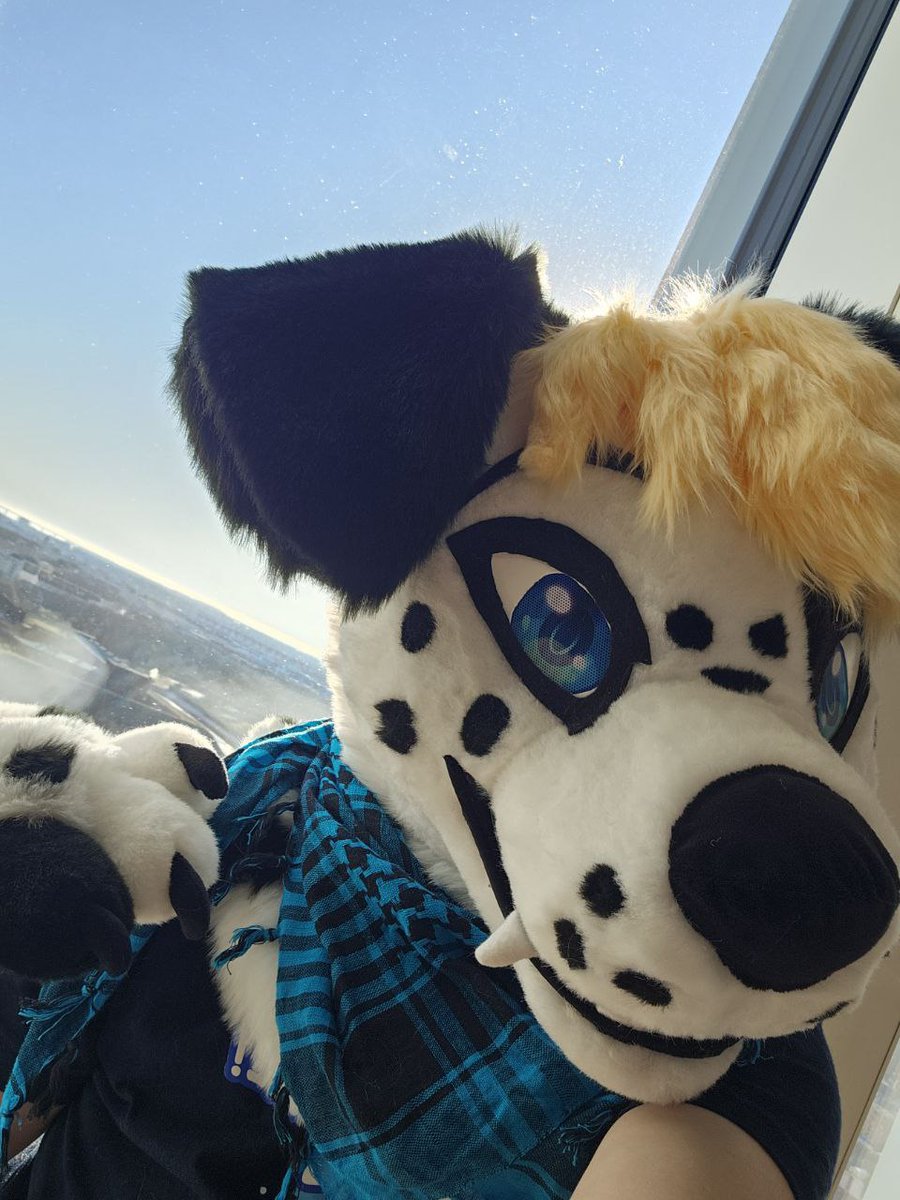 Service Dog 💦 tweet media