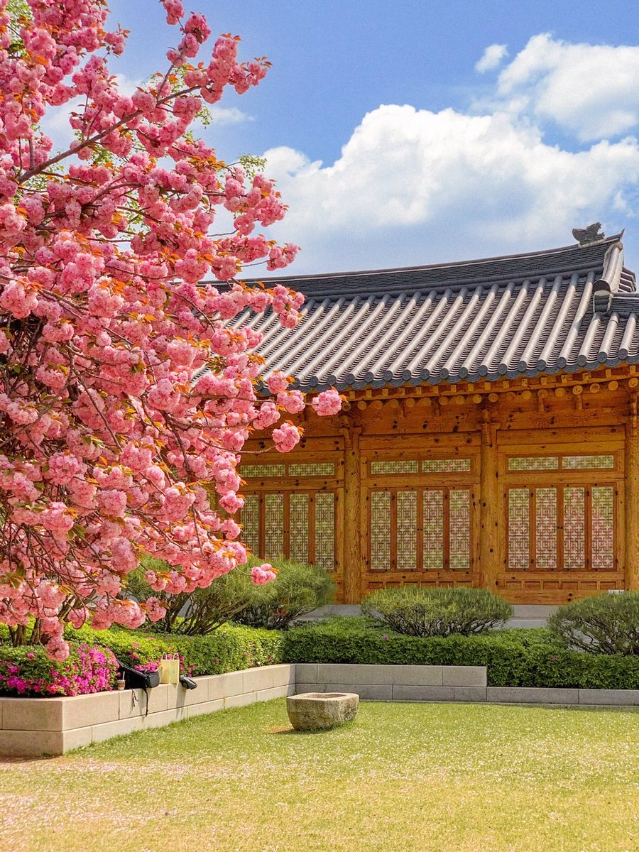 샴고앵 이차차 tweet media