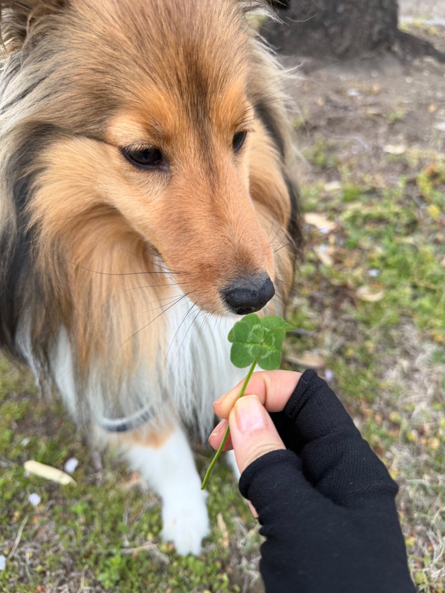 ℝ𝕒𝕞𝕔𝕙𝕒𝕟 tweet media