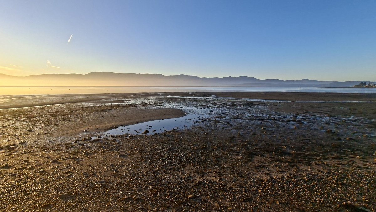 Stephen Roberts tweet media