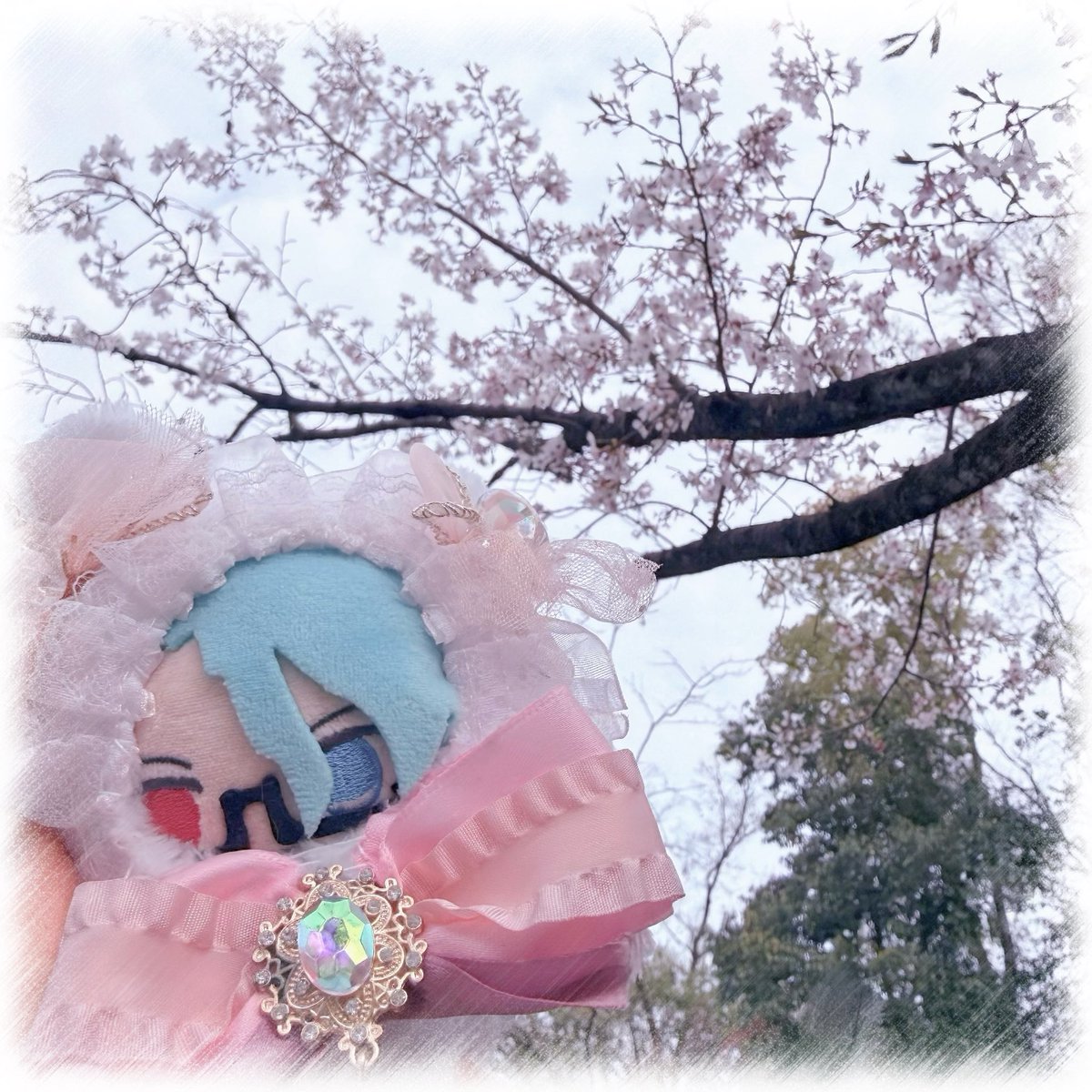 まころ tweet media