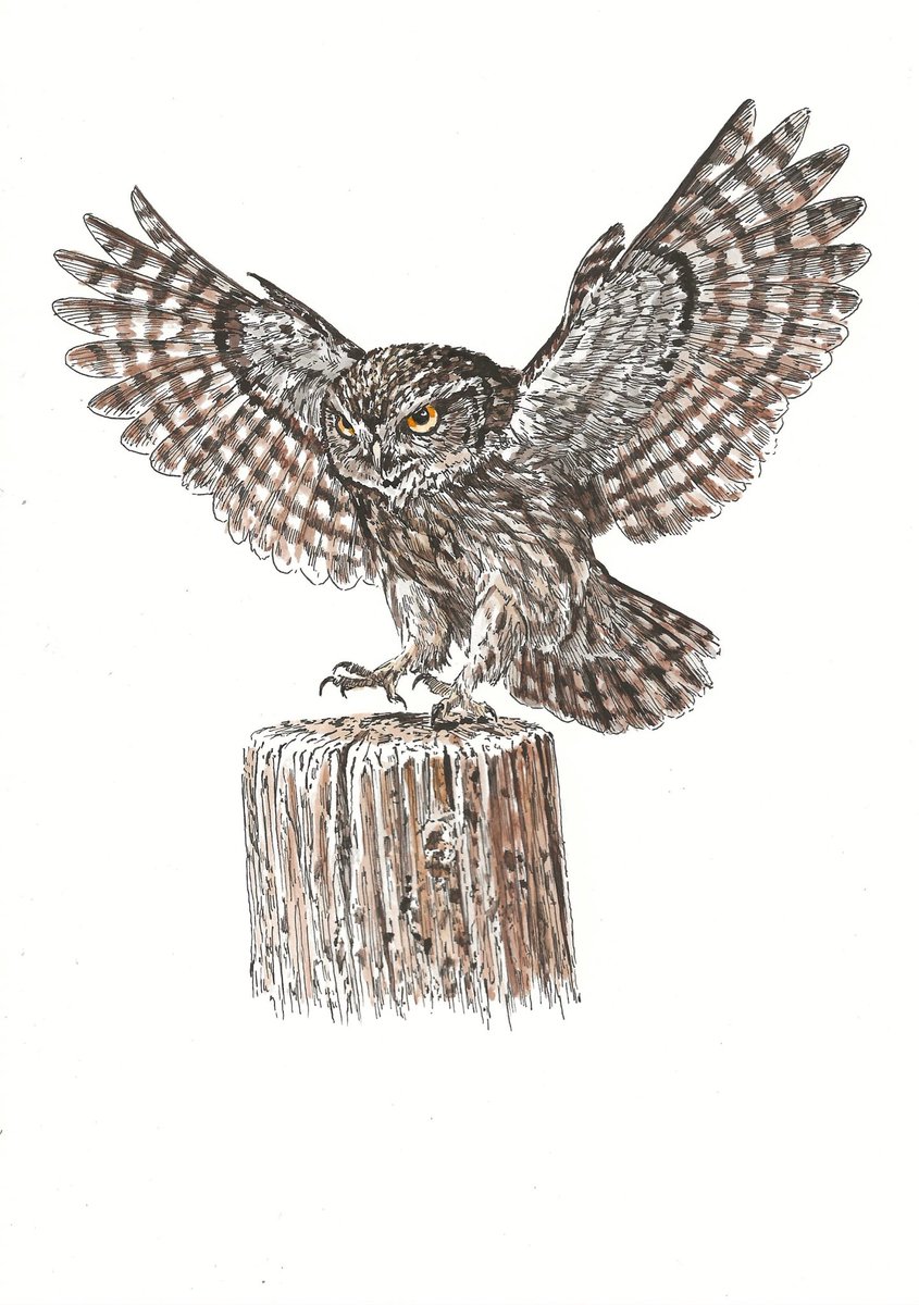 Bas Geeraets 🦉 tweet media