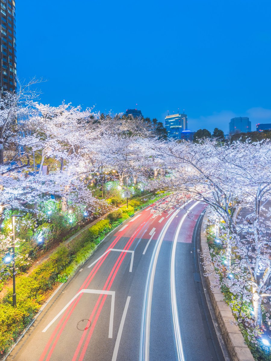 うぃーく［weak］ tweet media