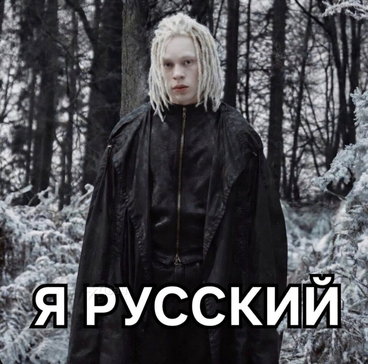 чак нормис tweet media