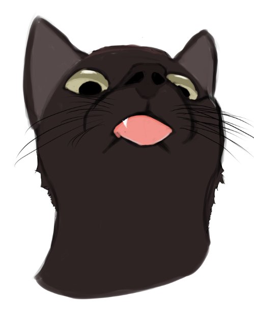 Vellitrix 🌙 Bunny Dog Vtuber tweet media