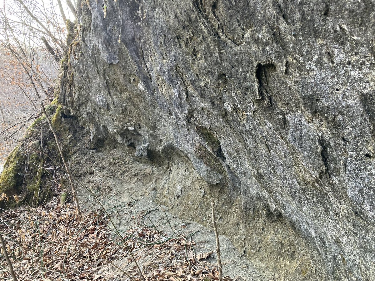 Dr.ツクール@道王紀 tweet media