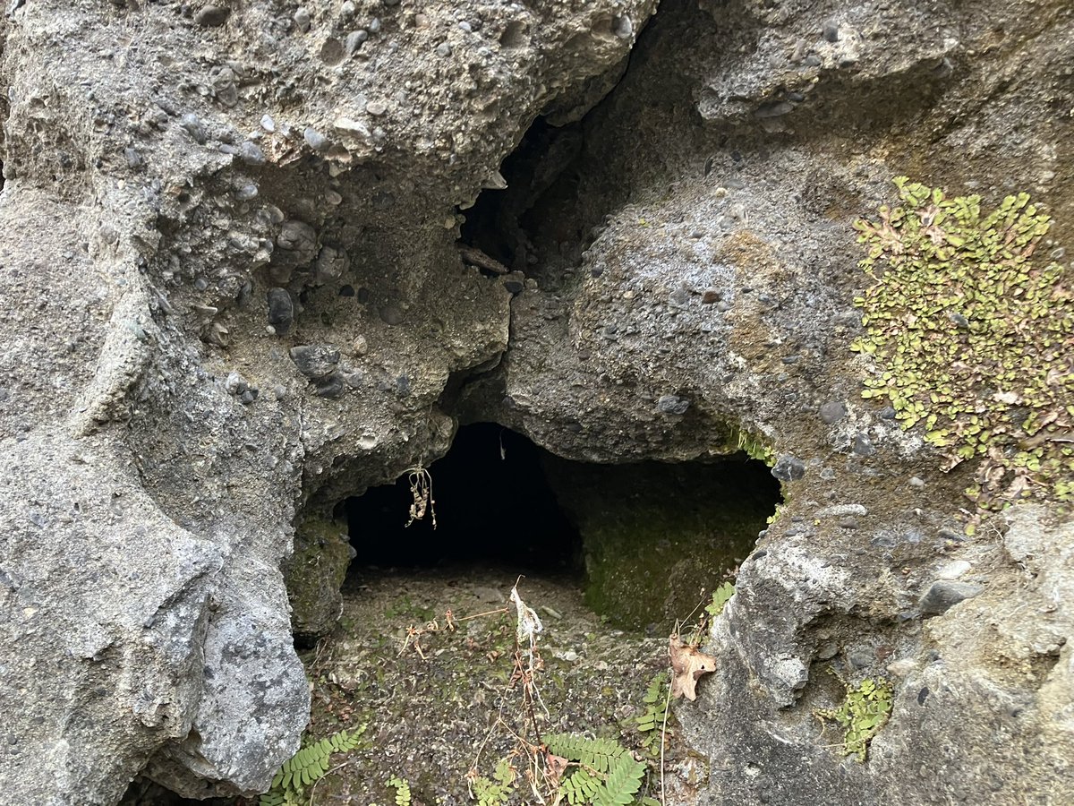 Dr.ツクール@道王紀 tweet media