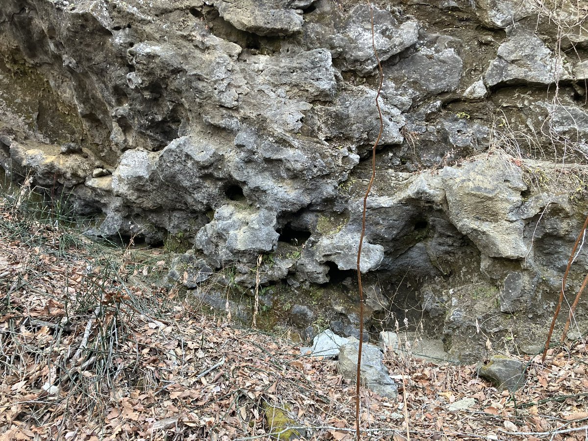 Dr.ツクール@道王紀 tweet media