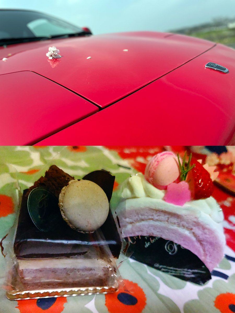 𝑺𝒘𝒂𝒈𝒈𝒆𝒓,𝑮.𝑴.🦇 tweet media