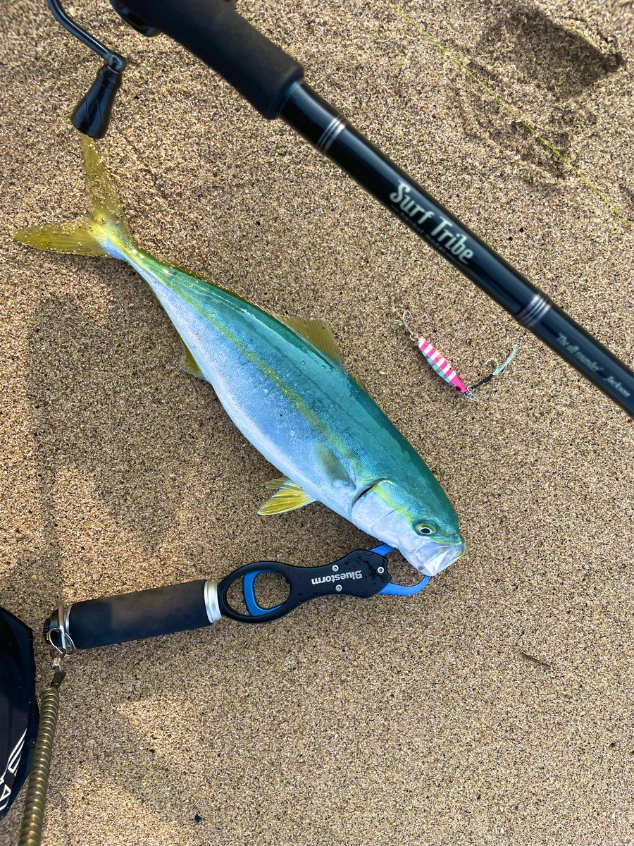 ヒロブン_105 tweet media