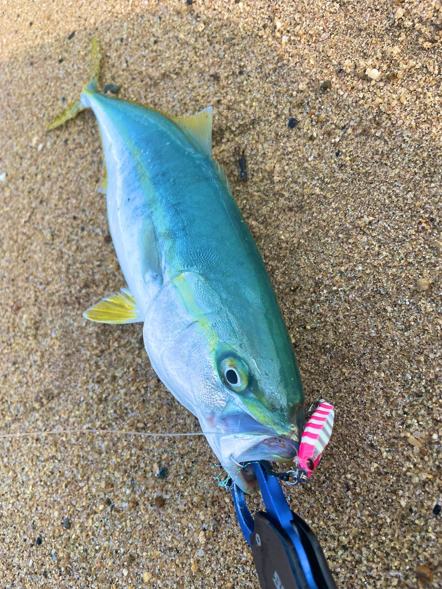 ヒロブン_105 tweet media