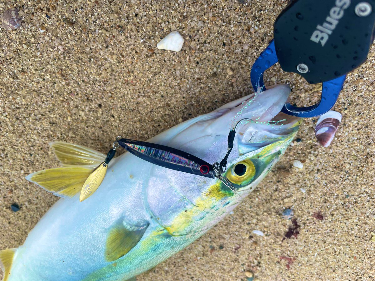 ヒロブン_105 tweet media