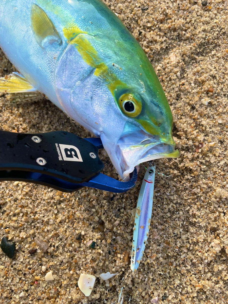 ヒロブン_105 tweet media