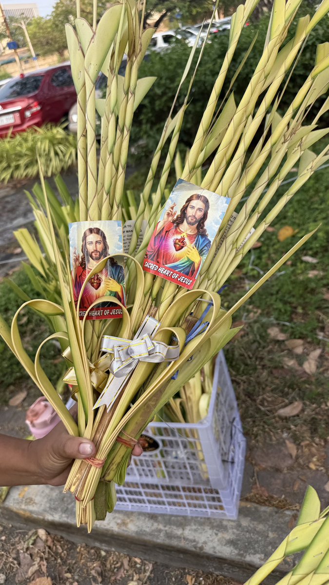 認定NPO法人アクセス tweet media