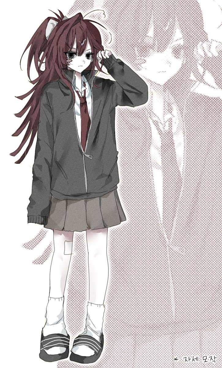 호모냥이 tweet media