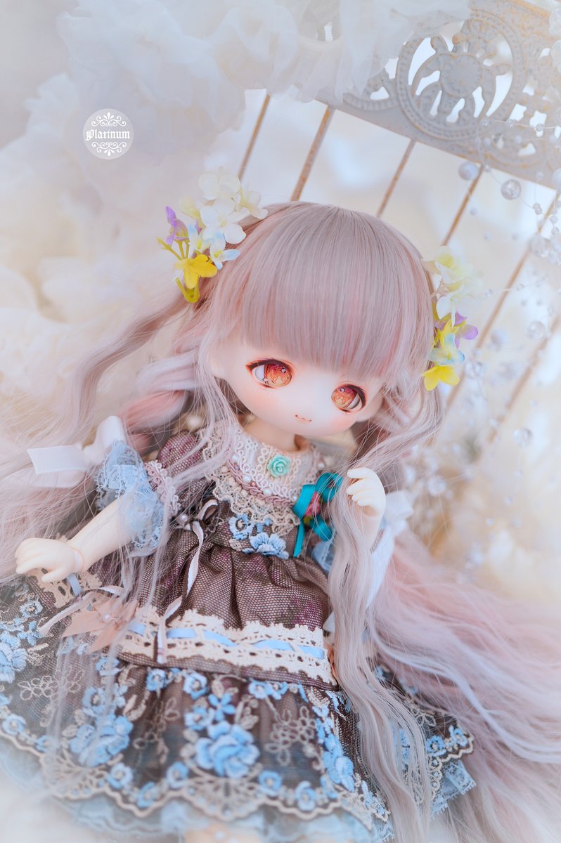 ちひろ＠ぷらちなの杜💫 tweet media