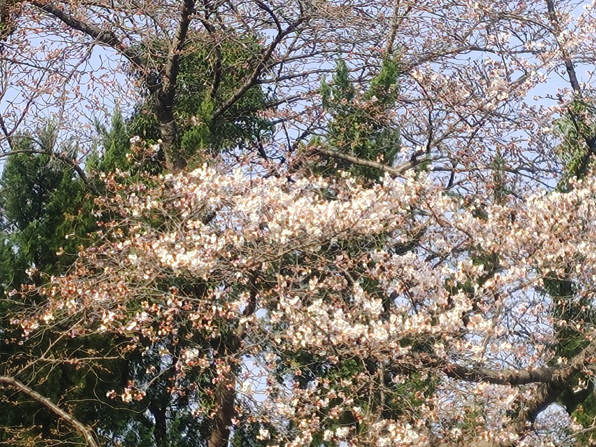 ばるさん tweet media