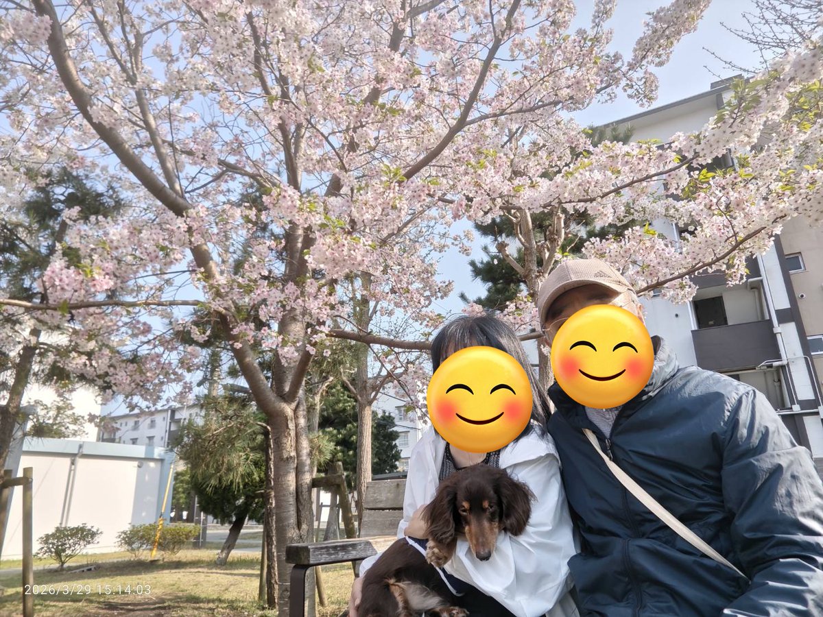 ラッキー王子 tweet media