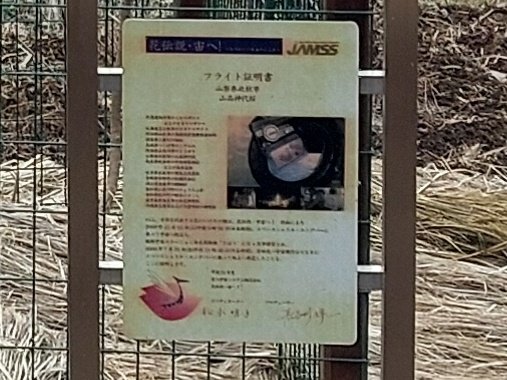 ぴょぽーん tweet media