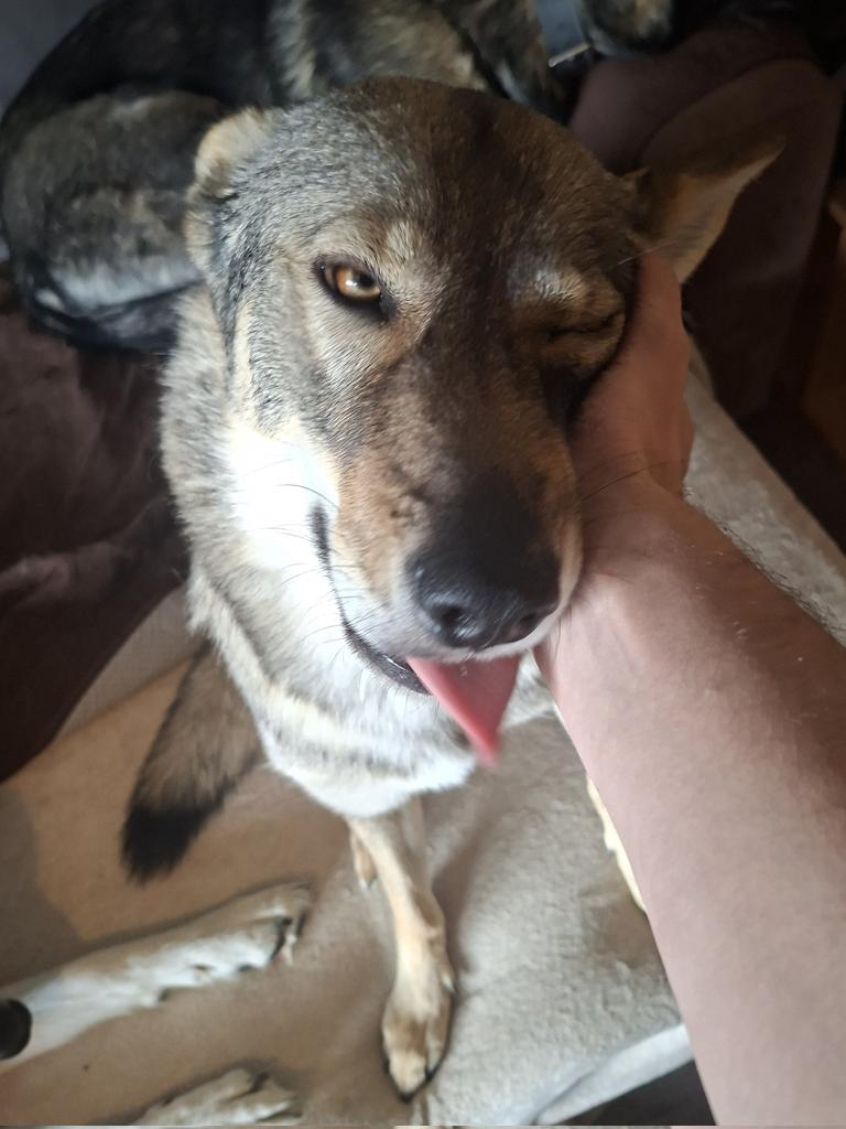 🇨🇭🌲Eric, CEO of the Swiss🌲🇨🇭 tweet media