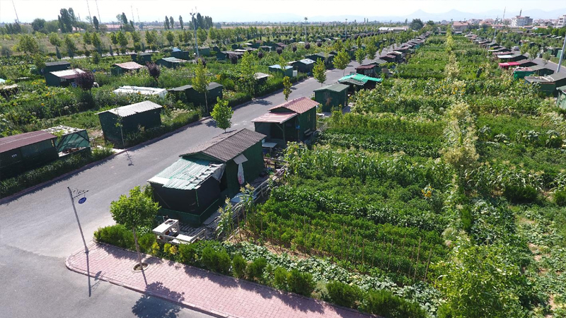 Psikolog Fatih Bora Ekim:

"Hobi bahçesi; imar yasaklarından veya otellerden kaçmak isteyen, çoğunluk ailelerin ilgi alanıdır.

Ancak iktidar yemin etmişcesine 'ailelerin' var olabileceği her zemini dinamitleyip bir taraftan da nüfusun azalmasına şaşırıyor."