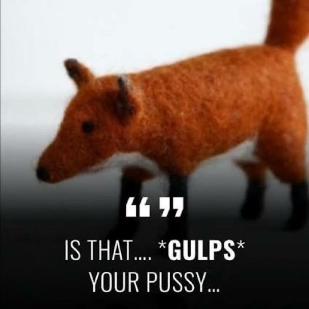 sal 🐁 tweet media