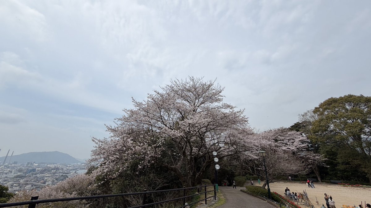 レゾナック永源山公園 tweet media