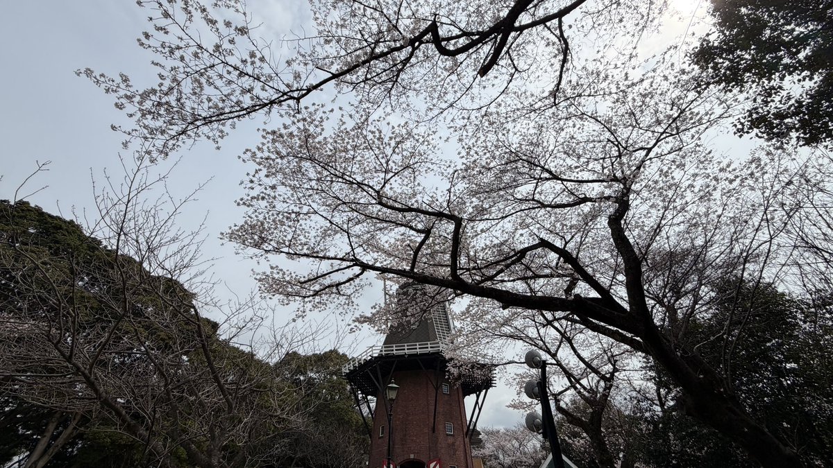 レゾナック永源山公園 tweet media
