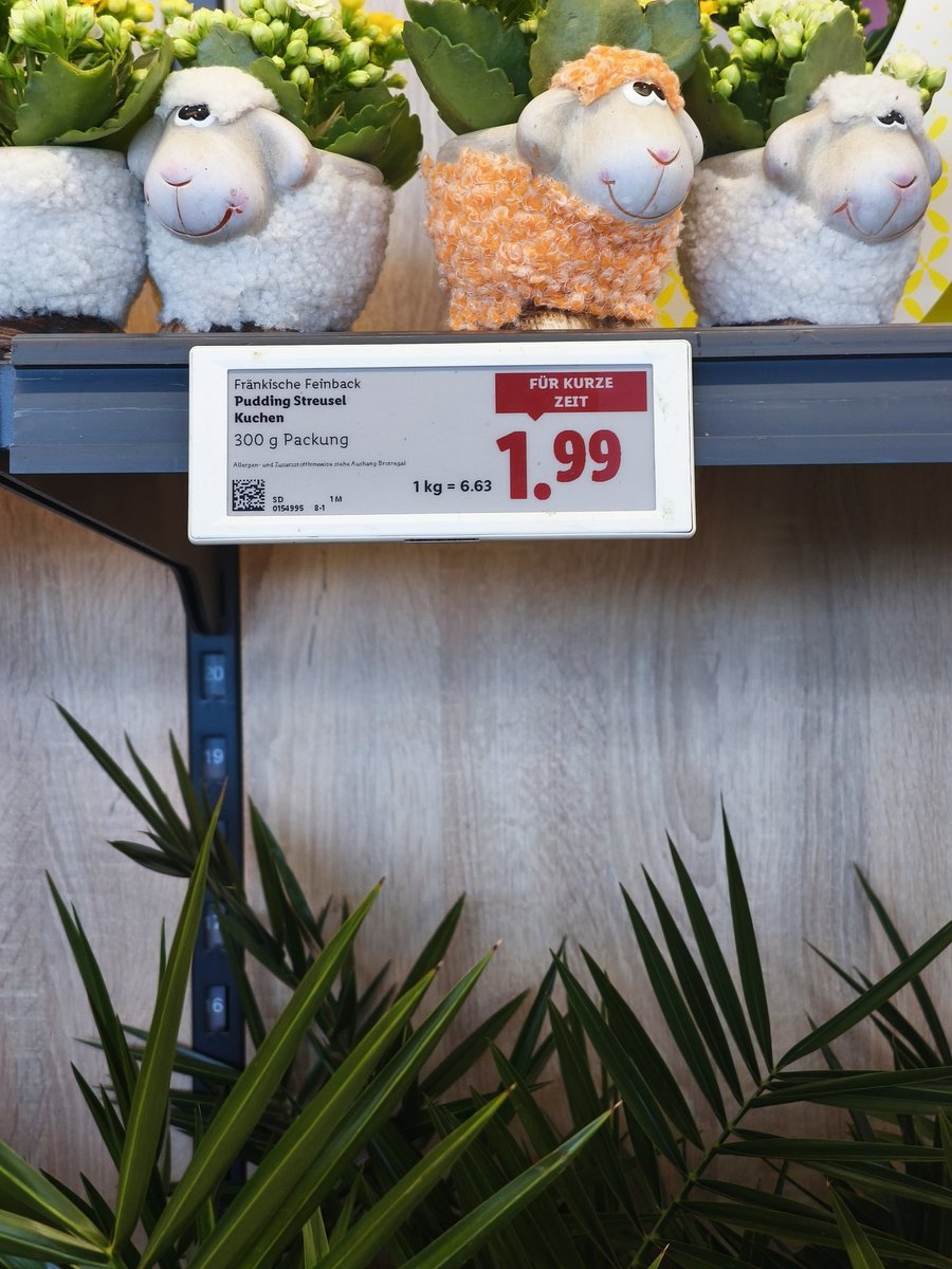 Elke C 🇩🇪 tweet media